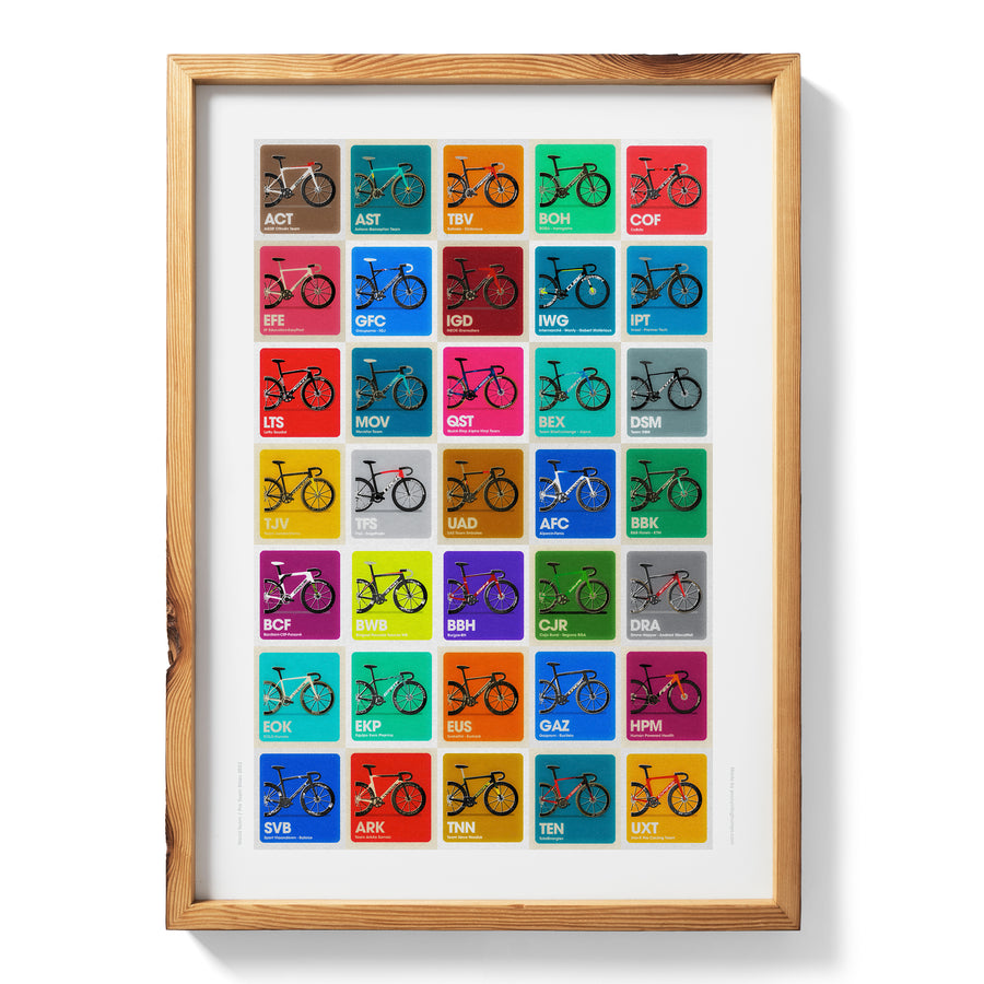 2022 Men's World Team / Pro Team Bikes A2 print