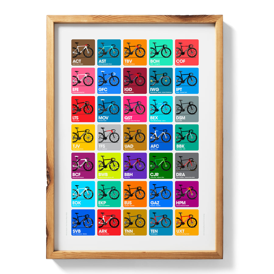2022 Men's World Team / Pro Team Bikes A2 print