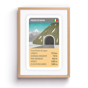 Passo di Gavia print