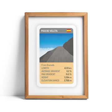Pico de Veleta print